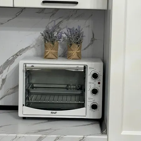 Blackbird Apartament * Tiran