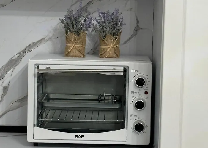 Blackbird Apartament * Tirana